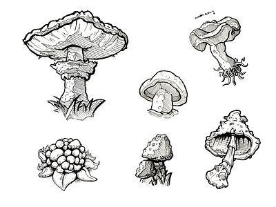 MUSHROOM SKETCHES botanical sketch cartoon cartoon illustration cordyceps fungi illustration mushrooms organicdrawing procreate shrooms sketchbook drawing