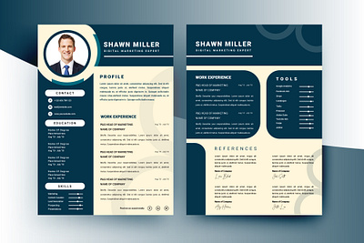 Professional CV Templates branding curriculum vita cv design graphic design new cv design resume vector