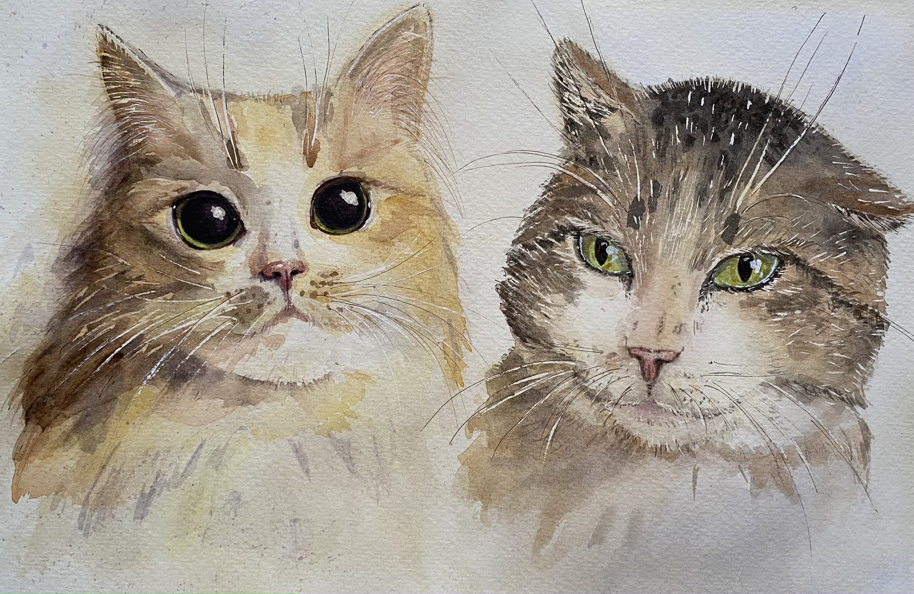 Watercolor painting "Masia & Kuzia" animals cat custom family handmade illustration pets watercolor wild
