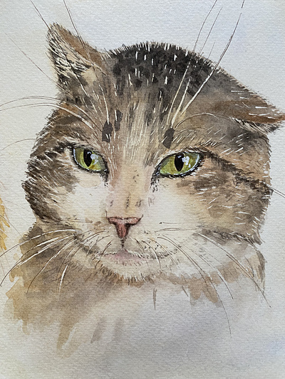 Watercolor painting of a stray cat "Kuzia" animals cat custom handmade illustration pets stray watercolor