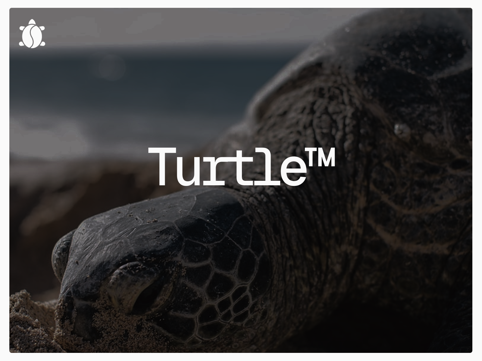 ARTbuburit Logo Day 0.12 animal black branding coffee concept design graphic design green idea ikon logo minimalism onlineshop shop turtle white