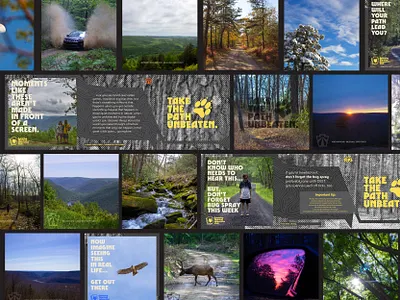 smac socials branding design feel graphic design saturday morning adventure club smac social media templates tiny buffalo vibe