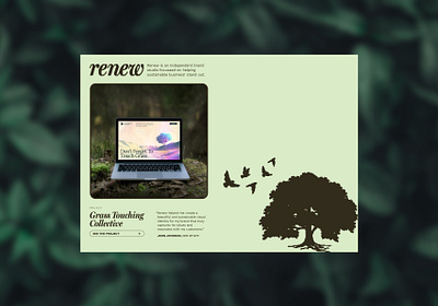renew website exploration branding studio sustainability web design