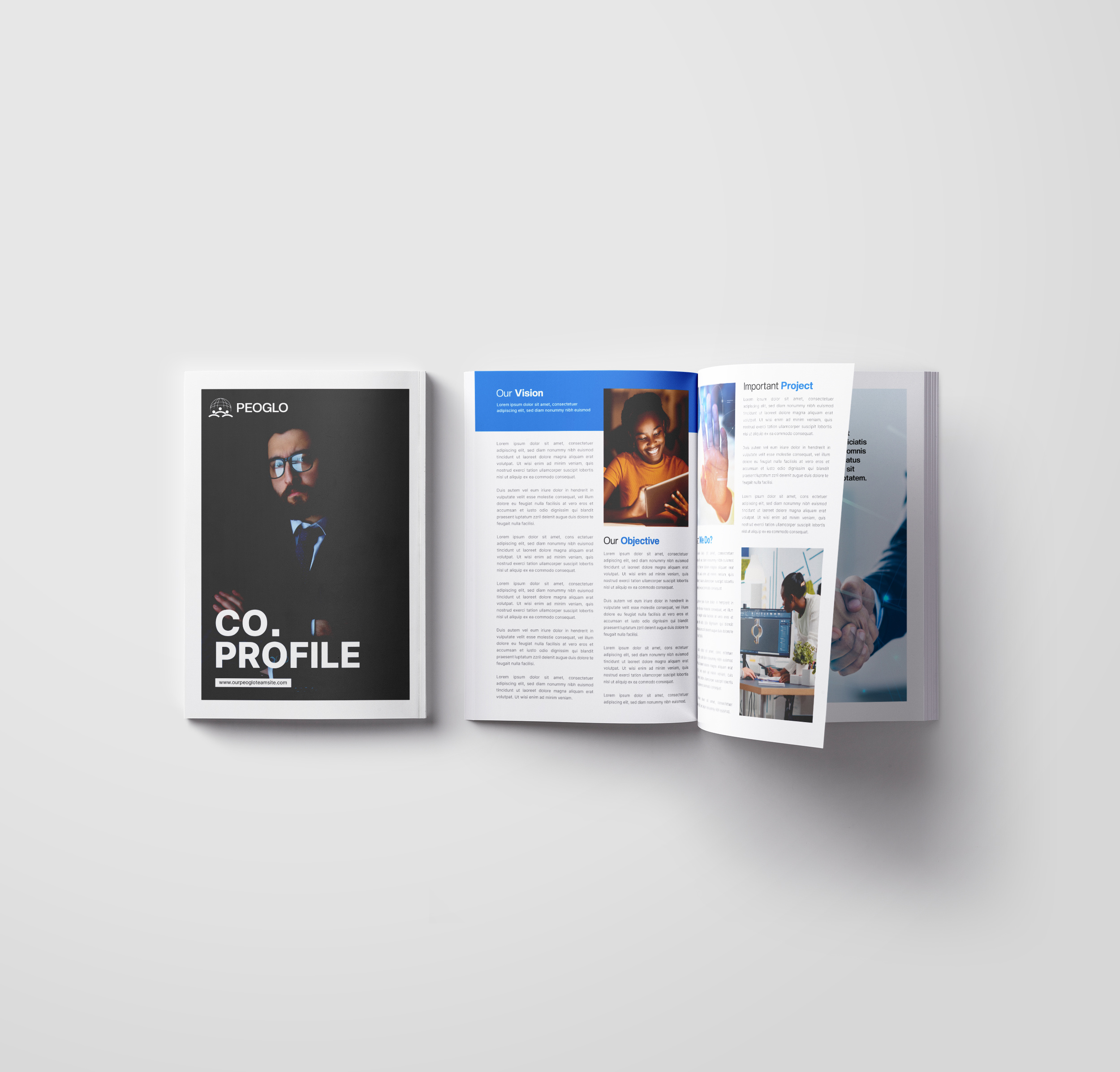 Corporate Company Profile Brochure Design. brochure brochure design company profile corporate tri fold dl flyer flyer flyer design folded layout layout design print ready tri fold tri fold brochure