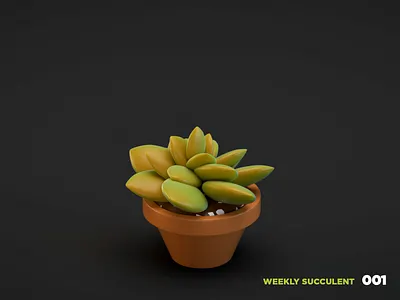 Weekly Succulent 001 3d c4d cinema 4d lowpolly plant render warmup weekly