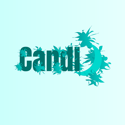 candle candl branding branding design graphic design logo typography