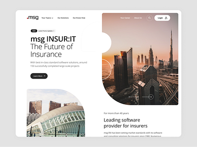 msg INSUR:IT Webdesign ui
