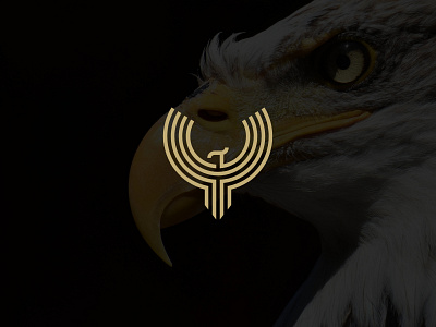 Letter Y Luxurious Eagle Logo affinity designer animal bird branding deluxe eagle falcon gold graphic design hawk letter logo luxury minimalist nature outdoor typography vector wild wing