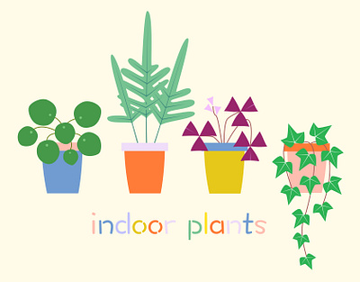 Indoor Plants houseplants illustration indoorplants plants plantsillustration vector