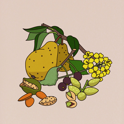Stone Age Cuisine adobe illustrator editorial food fruit illustrator meat rotten vector