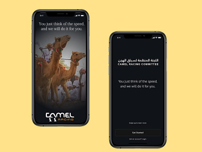 Camel Racing Committee Qatar app app design branding design mobile app mobile app design mobile app screen mobile screen ui ui design uiux ux ux design