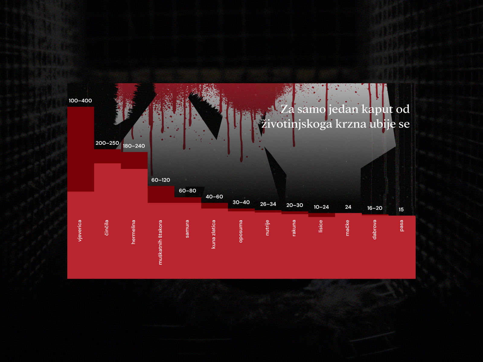 Krv nije moda chart animals animation art direction branding campaign chart data design graph interaction red ui ux web
