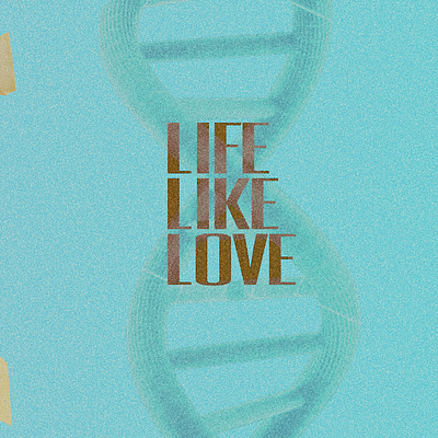 LIFE LIKE LOVE branding design graphic design illustration logo motion graphics typography vector