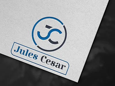 company logo design branding design graphic design logo
