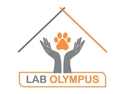 logo design branding design graphic design logo