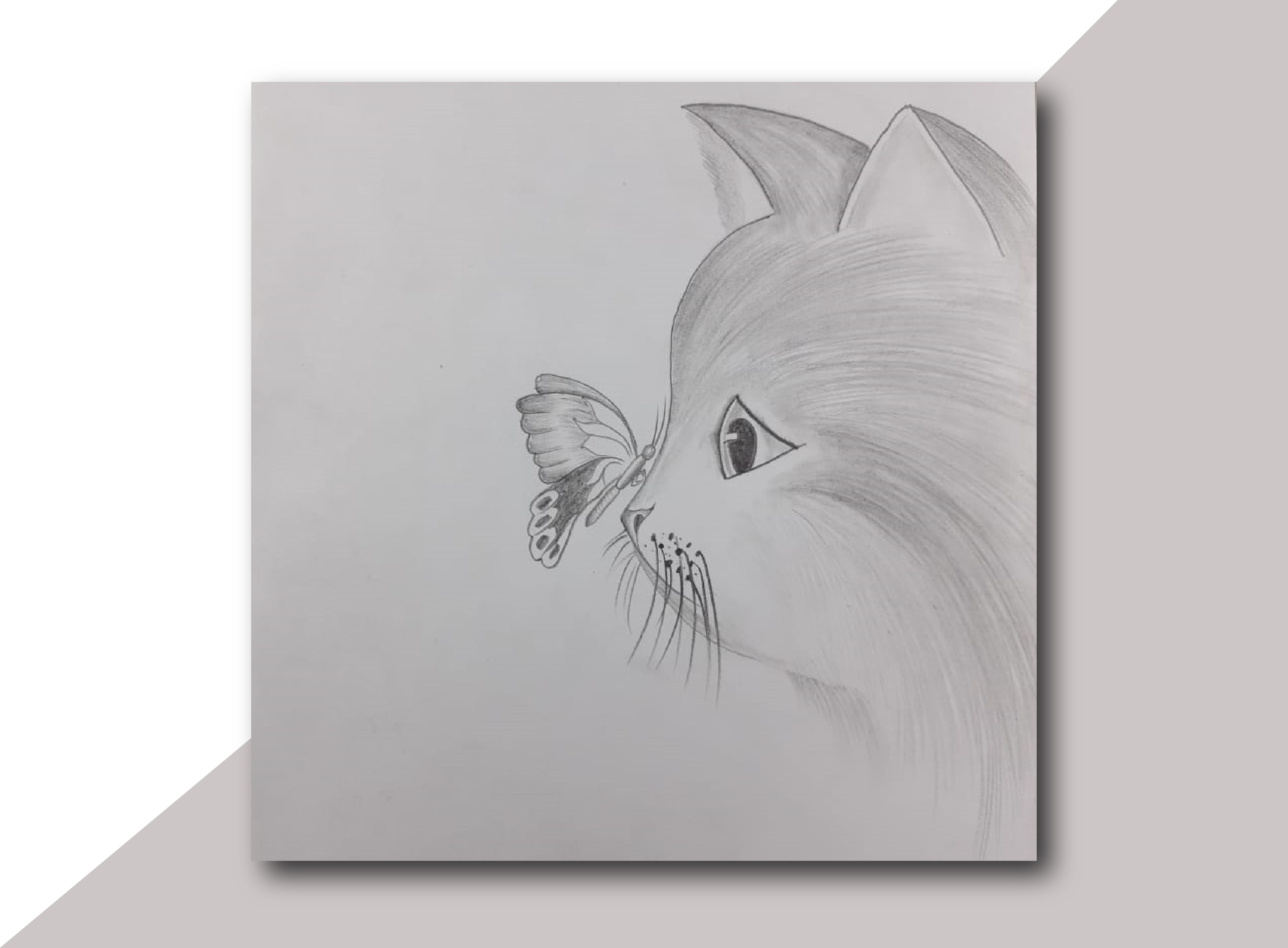 Pencil Sketch Of Cute Cat  DesiPainterscom