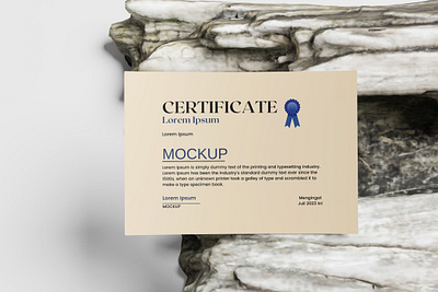 Certificate Mockup branding business certificate graphic design mockup