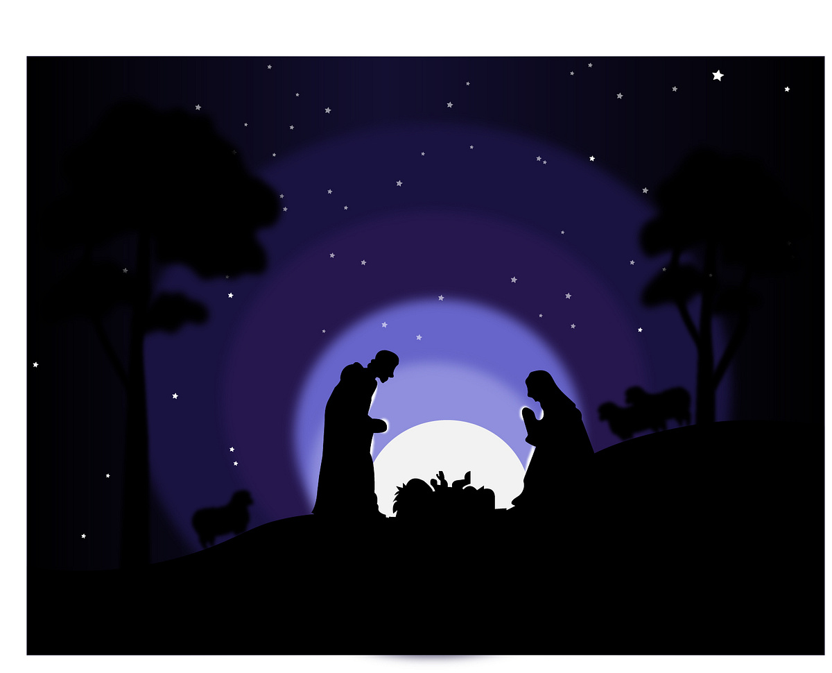 NIGHT SKY ILLUSTRATOR VECTOR DESIGN by Vandana on Dribbble