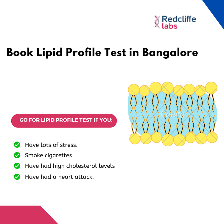 lipid-profile-test-mogul-valley