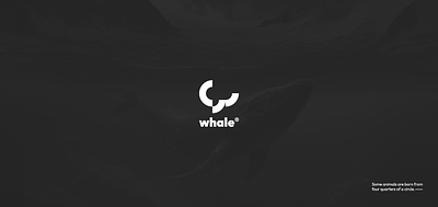 minimal animals® - whale animals branding design graphic design illustration minimal minimal logo vector
