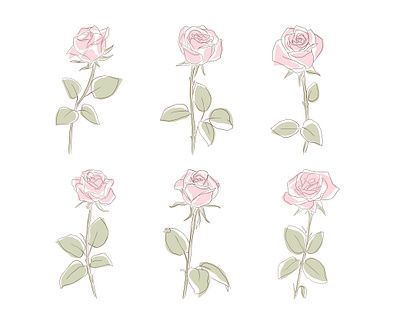 Rose Line Art illustration