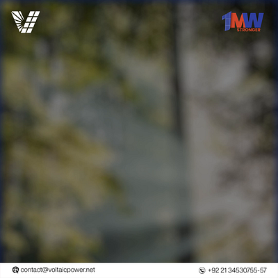 Voltaic Power Save Trees Post animation branding graphic design motion graphics