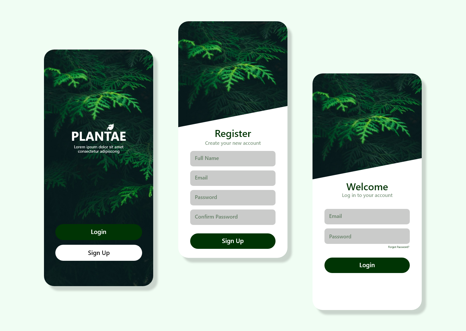 PLANTAE Plant App UI Design by Dasun Senanayake on Dribbble