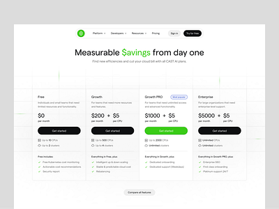 CAST AI - Pricing Page cast ai concept design green grid hero section landing page plans pricing page typography ui visual design