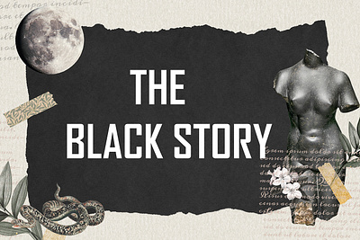 THE BLACK STORY creative design design fashion deisgn illustration