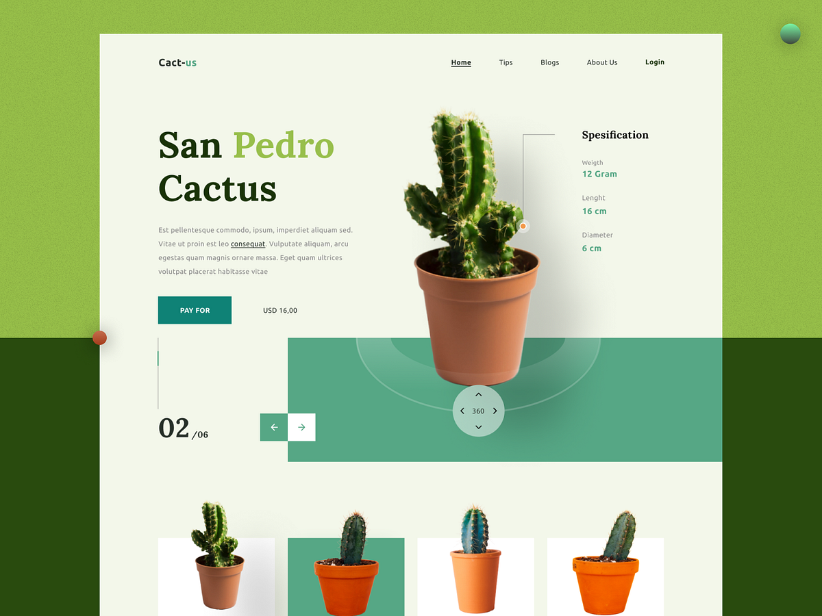 Browse thousands of Plant Page images for design inspiration | Dribbble
