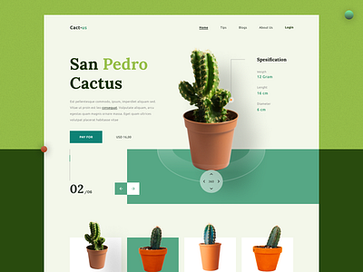 eco, flower, leaf, leaves, pot, nature, plant website design cactus website eco website floral website flower website landing page leaf website leaves website nature website plant landing page plants website pot website squarespace ui webdesign webflow website website design wix wordpress workhu agency