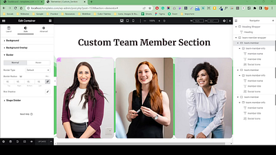 Custom Team Member Section by Zahid Hasan in WordPress agency lading page agency website astra theme customize business website design elementor exlementor expert landing page theme customization wordpress wordpress customization