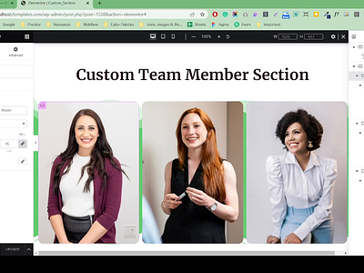 Custom Team Member Section by Zahid Hasan in WordPress agency lading page agency website astra theme customize business website design elementor exlementor expert landing page theme customization wordpress wordpress customization