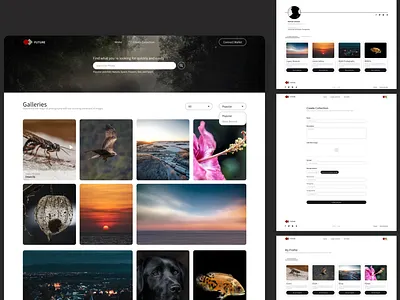 NFT Art Gallery - Future 🔥 art branding cinematic design form gallery graphic design grid masonry nft nft art nft gallery panoramic view pictures profile storage submit ui user ux