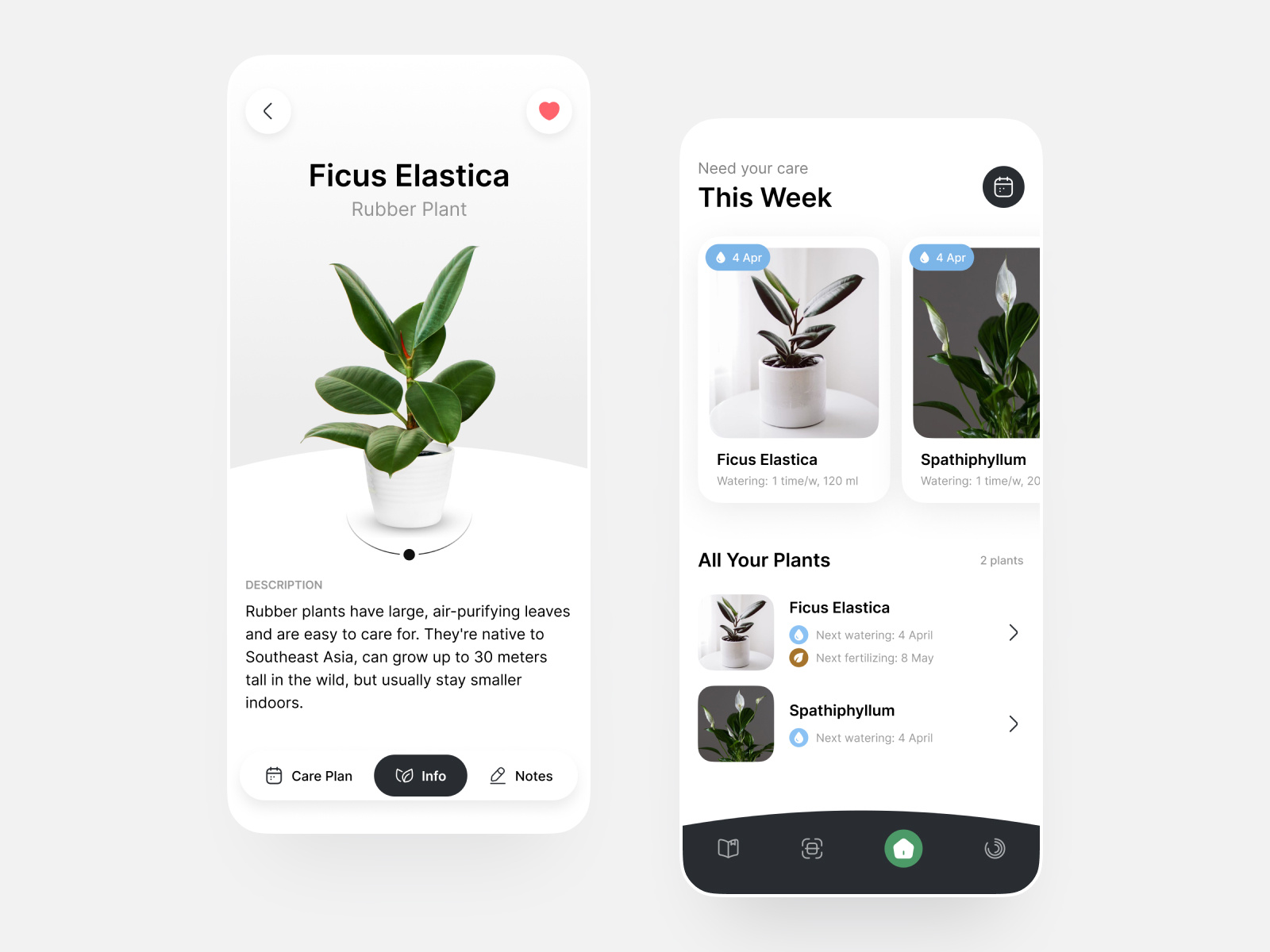Plant Recognition App 📸🪴 by Anna Feshchenko for Codabrasoft on Dribbble