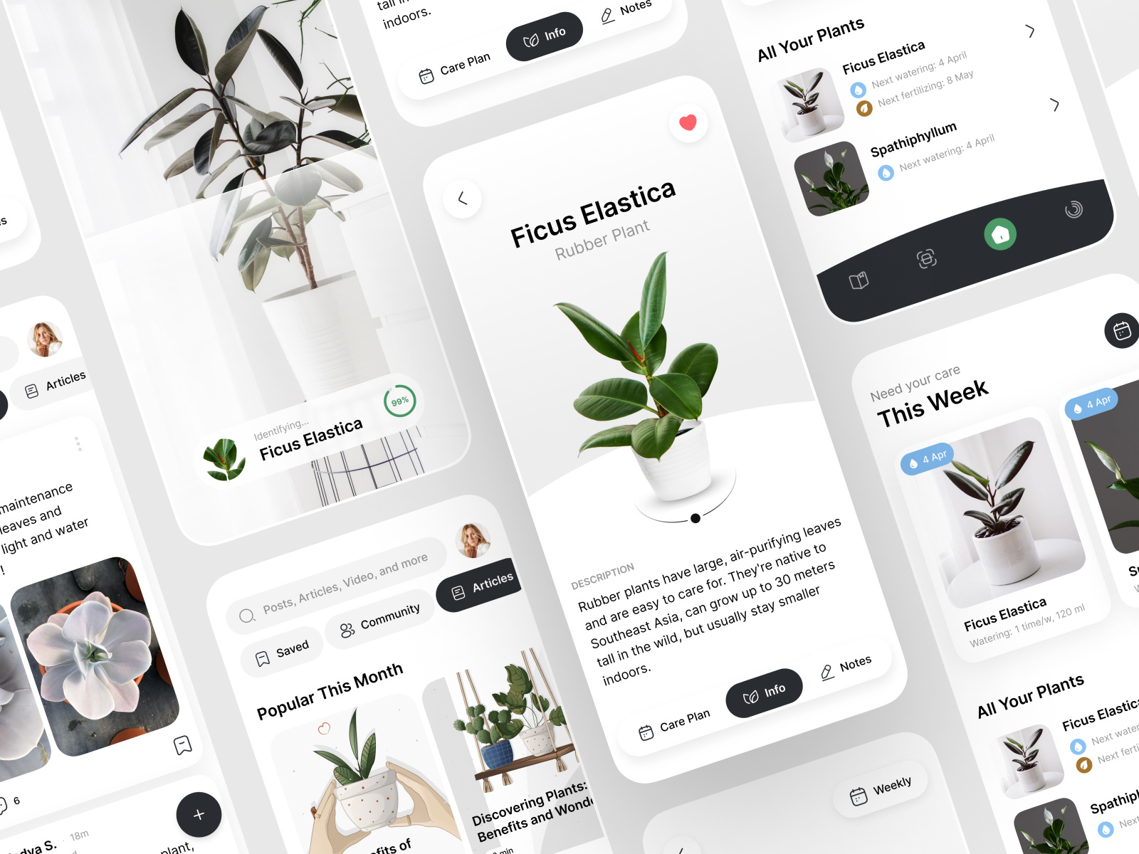 plant-recognition-app-by-anna-feshchenko-for-codabrasoft-on-dribbble