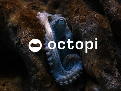 Octopi — Logo and Brand Identity Design branding finance graphic design logo motion graphics trading ui