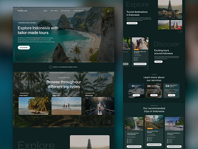 Travel Agency Website website design