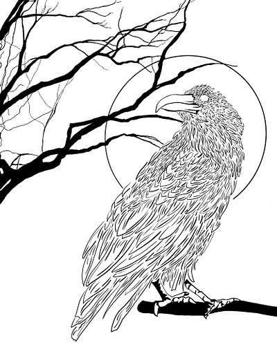 Raven artwork blackandwhite design digitalartwork digitaldrawing drawing graphic design graphics illustration moon procreate raven trees