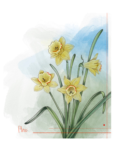 Daffodils artwork daffodil design digitalart digitalartwork digitaldrawing digitalillustration drawing flowers illustration pastelcolors procreate