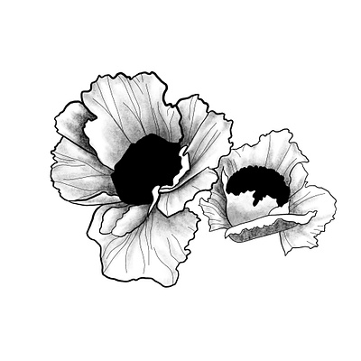 Poppies artwork blackandwhite design digitalartwork digitaldrawing digitalillustration drawing flowers graphic design graphics illustration poppies poppy procreate procreateart procreatedrawing procreateillustration