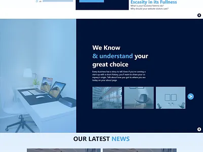 SHOWROOM branding design graphic design illustration ui ux