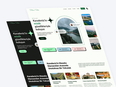 Escape to Nature: Fırtına Vadisi's Tour Website (UI Design) app design product product design ui ux web web design