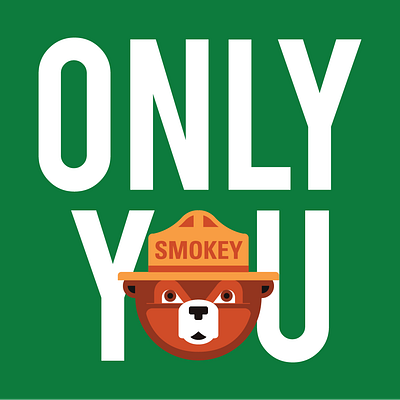 Smokey bear forest illustration national park smokey vector