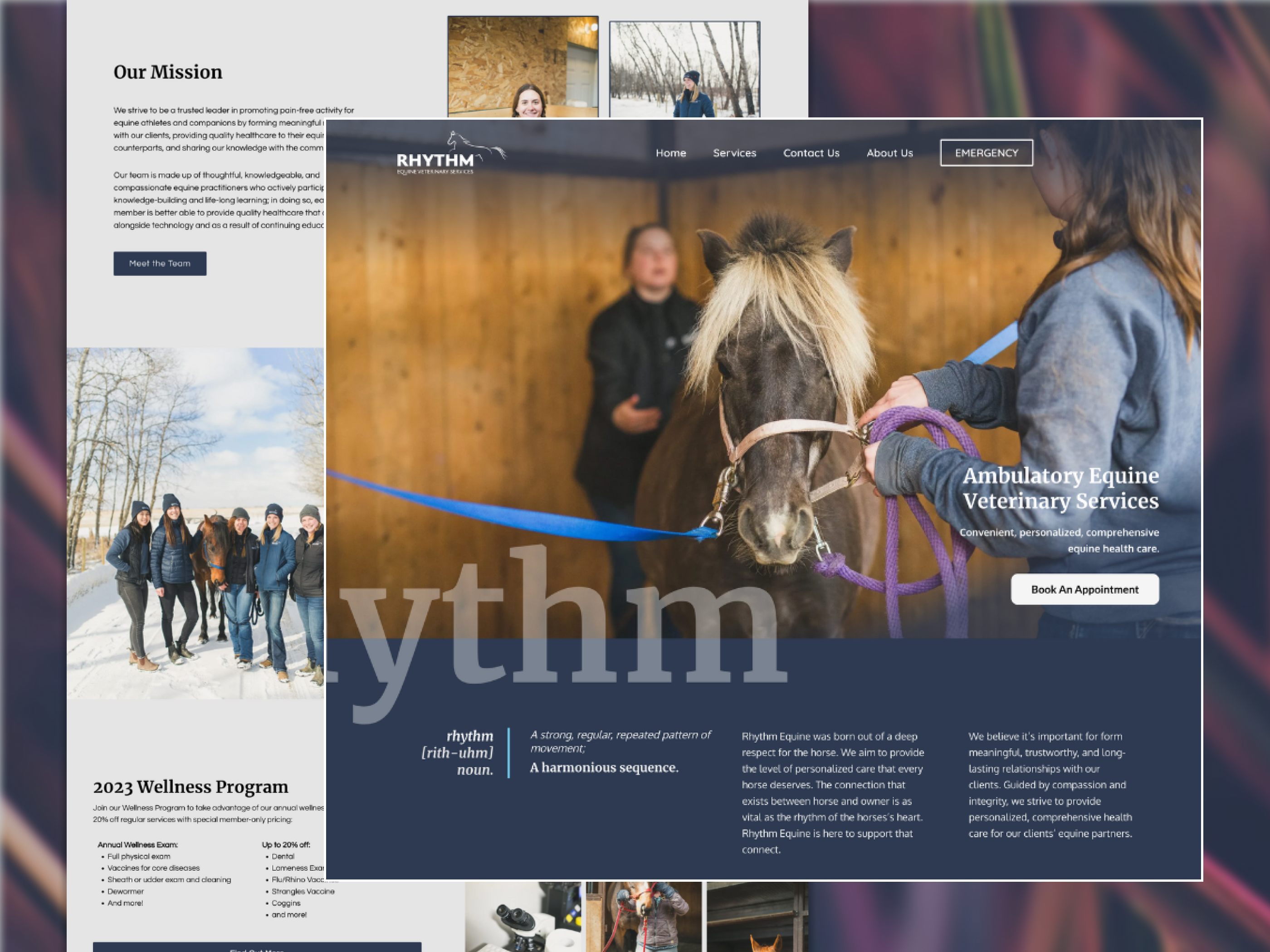 Equine Veterinary Homepage doctor elementor equine graphic design hero hero image horses medicine veterinary web design wordpress