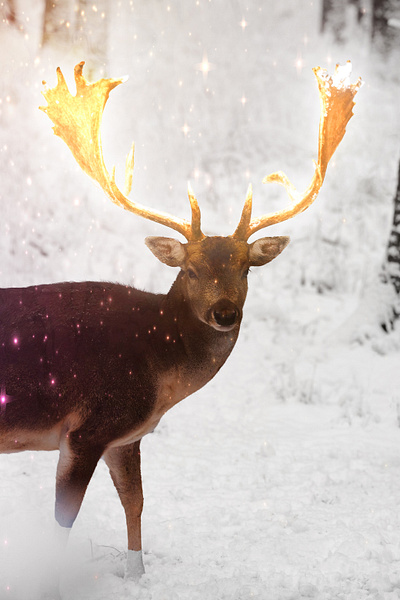 Reindeer With Golden Horn 3d animation golden horn graphic design illustration photoshop reindeer reindeerwithgoldenhorn