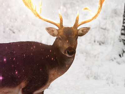 Reindeer With Golden Horn 3d animation golden horn graphic design illustration photoshop reindeer reindeerwithgoldenhorn