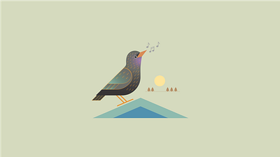 Stare bird graphic design illustration starling sweden