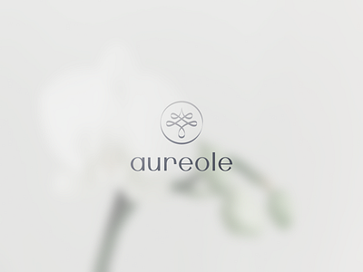 AUREOLE / perfume bottle design brand identity branding graphic design identity design packaging packaging design perfume visual identity