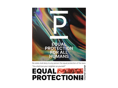 Equal Protection Brainstorming